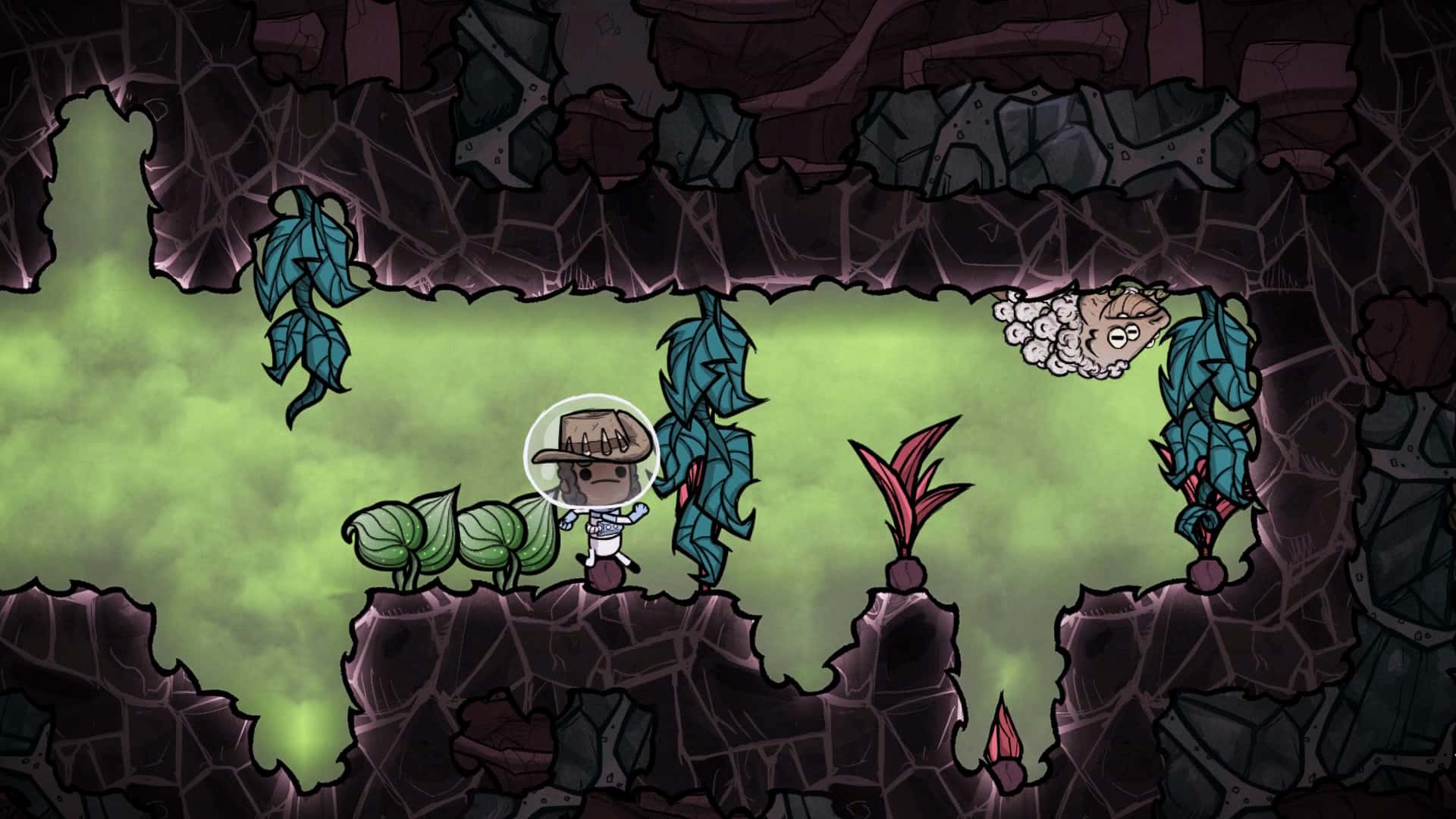 视觉数据1